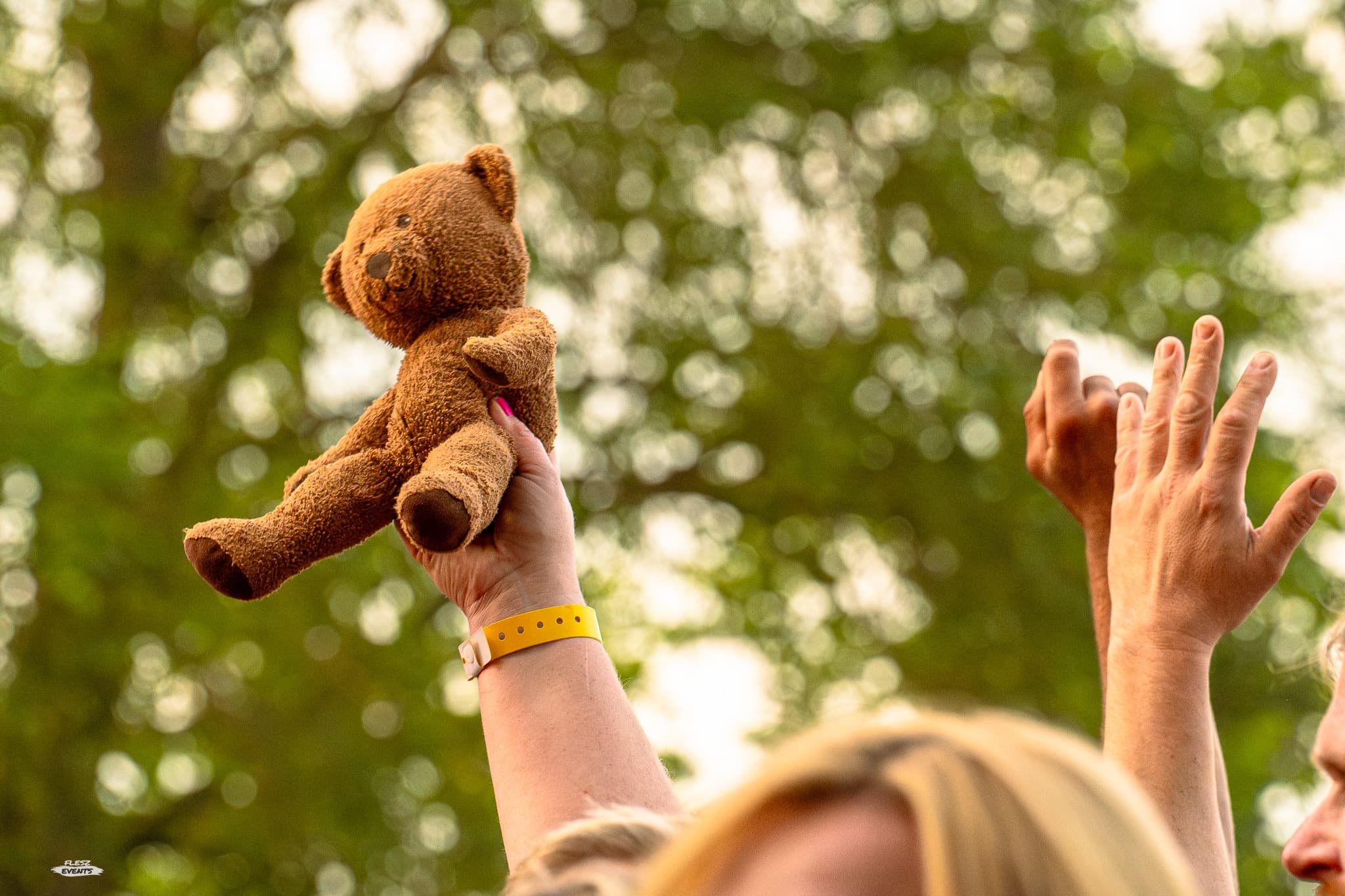 Publika na Rock na Bagnie