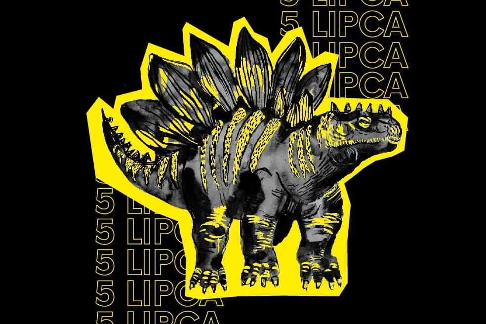 Carborock Festiwal 2025 [DATA, LINE-UP, BILETY]