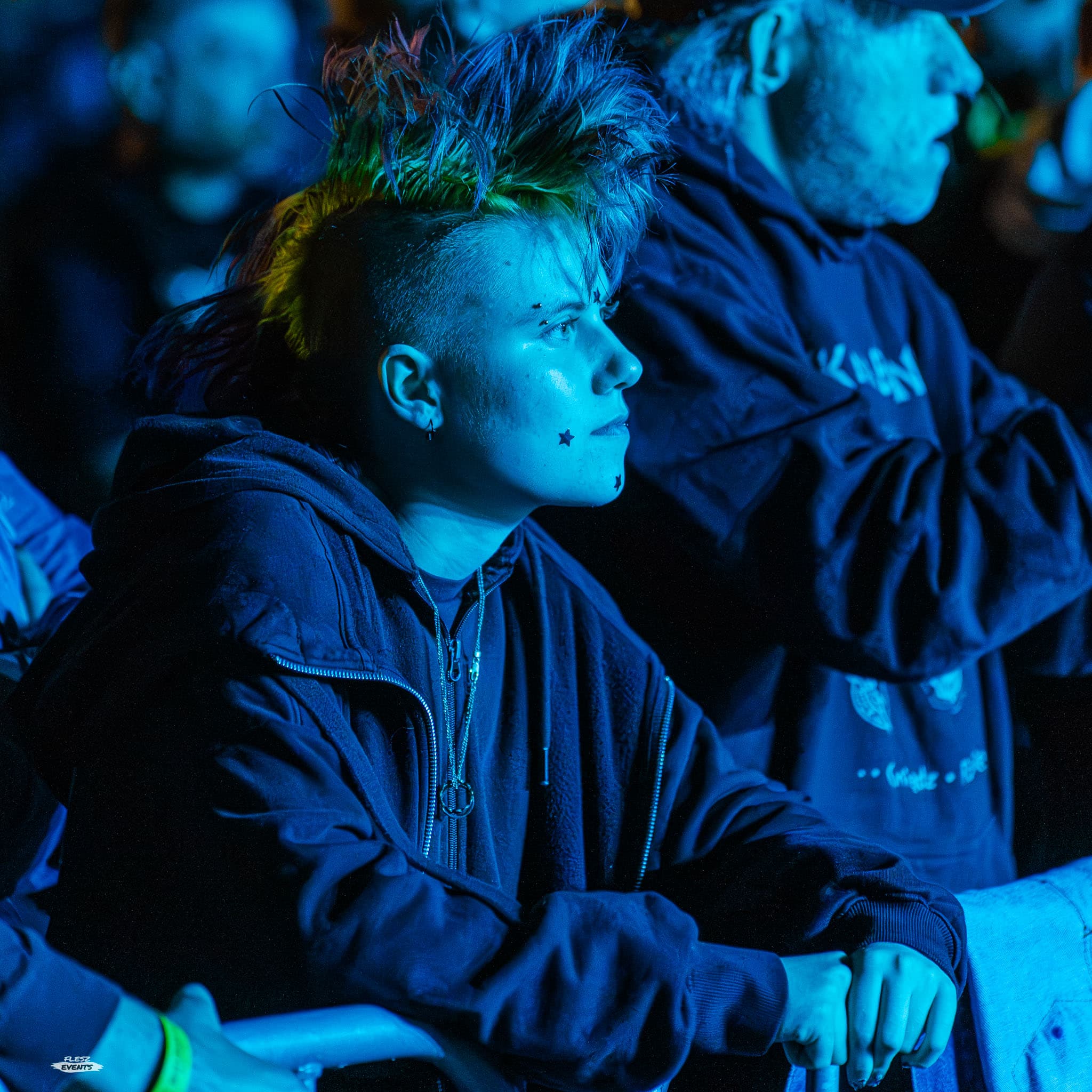 Publika na Rock na Bagnie